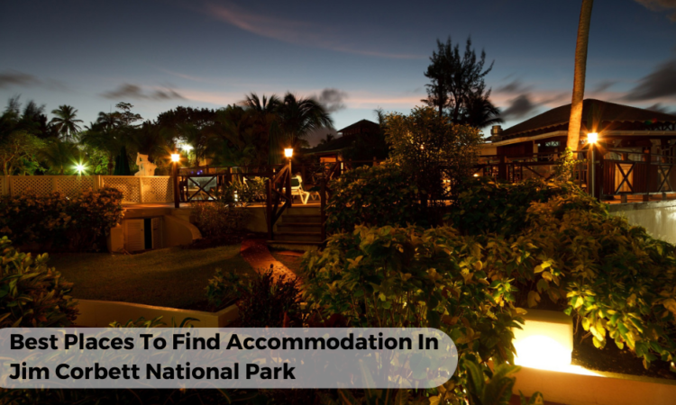 Best Places To Find Accommodation In Jim Corbett national Park
