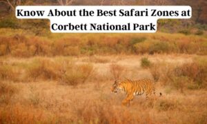 Dhela Zone