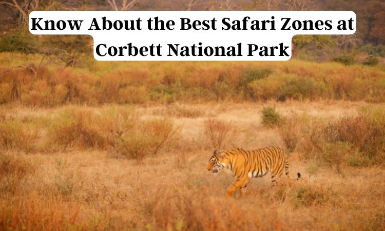 Dhela Zone