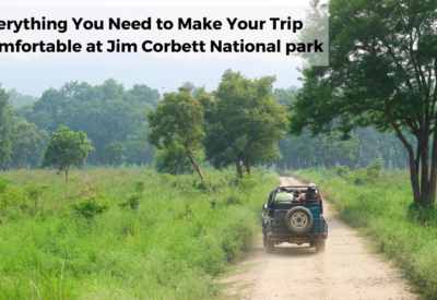 Jim Corbett National park