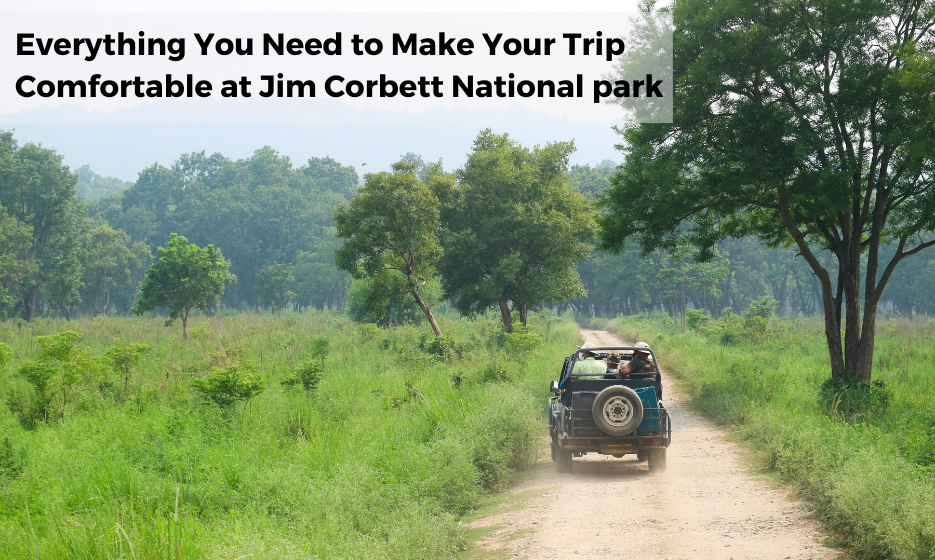 Jim Corbett National park
