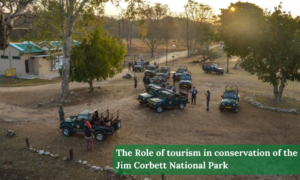 Role Of Tourism In Conservation Of The Jim Corbett National Park