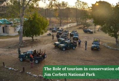 Role Of Tourism In Conservation Of The Jim Corbett National Park