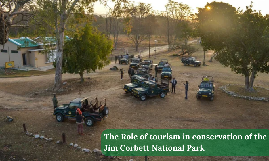 Role Of Tourism In Conservation Of The Jim Corbett National Park