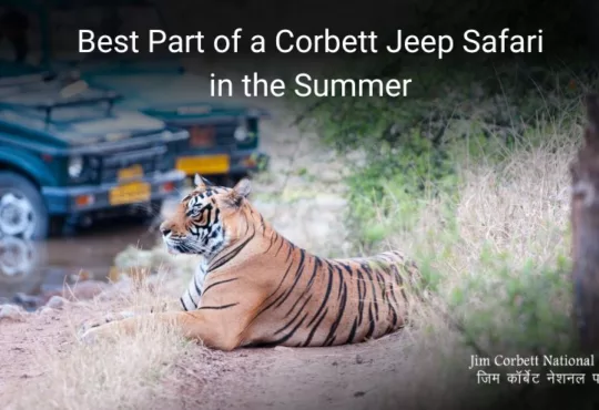 best-part-of-corbett