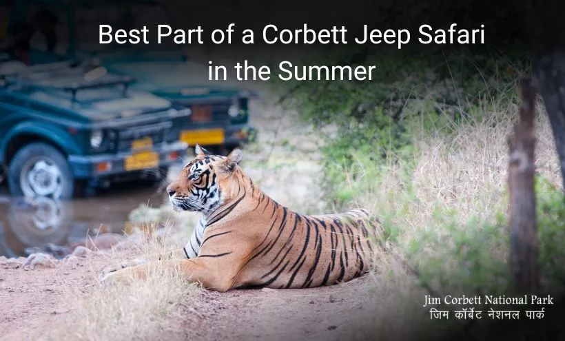 best-part-of-corbett