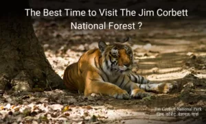 best time to visit jim corbett park