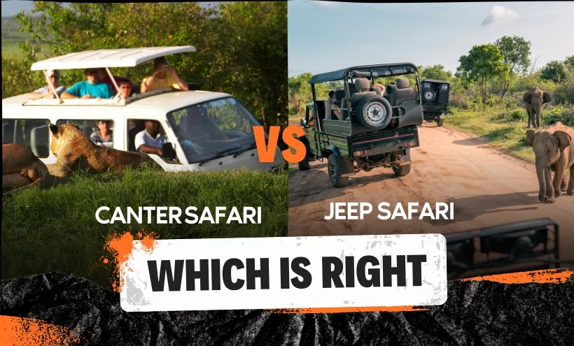 jeep and canter safari