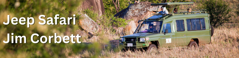 jeep safari corbett tiger