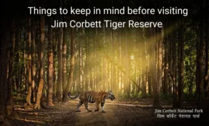 jim corbett tiger reserve