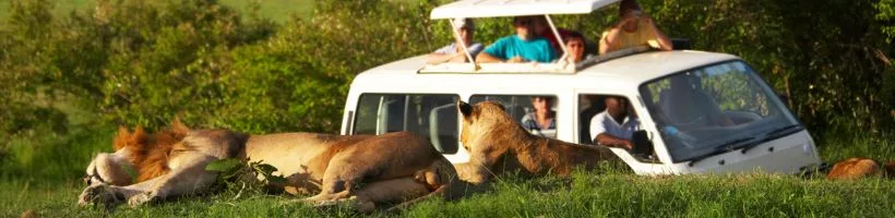 canter safari jim corbett national park