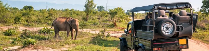 jeep safari jim corbett national park