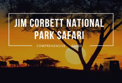 jim corbett national park safari