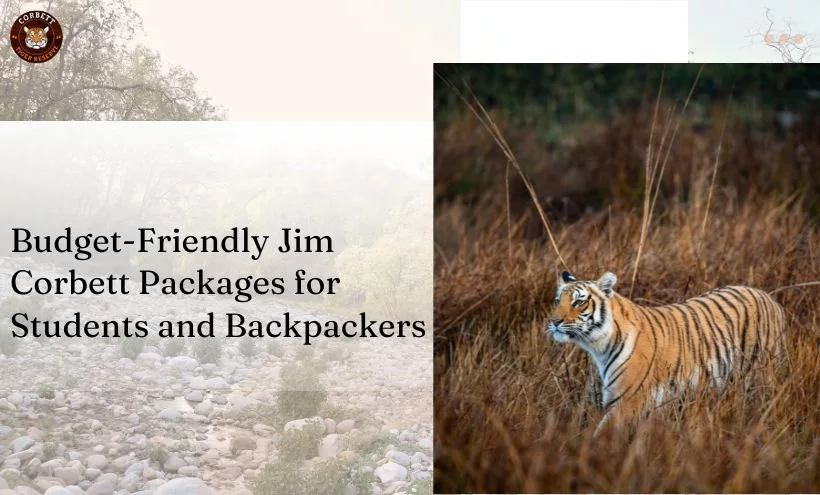 Budget-Friendly Jim Corbett Packages