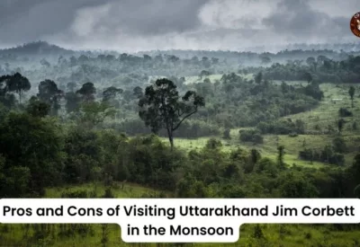 Spots in Jim Corbett National Park