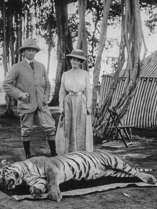 The Story of Jim Corbett