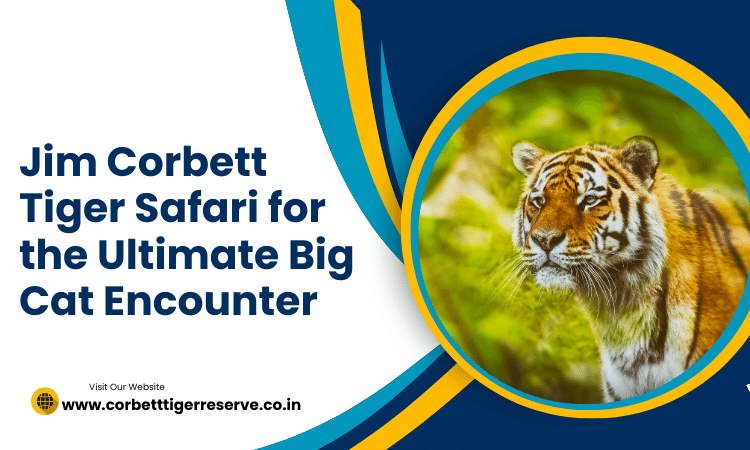Jim Corbett Tiger Safari for the Ultimate Big Cat Encounter (1)