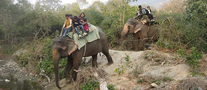 Corbett Elephant Safari Online Booking, Jim Corbett National Park ...