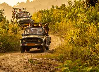 Phato Zone, Jim Corbett National Park, Corbett Tiger Reserve