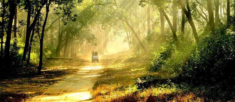 Corbett Jeep Safari, Jim Corbett National Park, Corbett Tiger Reserve